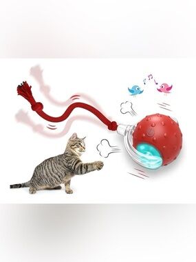 Interactive Cat Toys Ball for Indoor Cats, Motion Activate Cat Toys. NEW